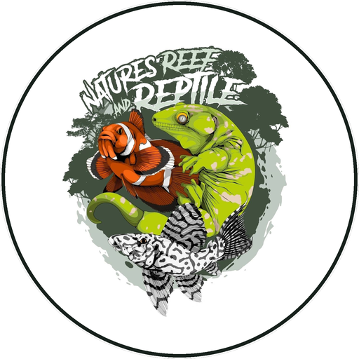 Nature’s Reef & Reptile home
