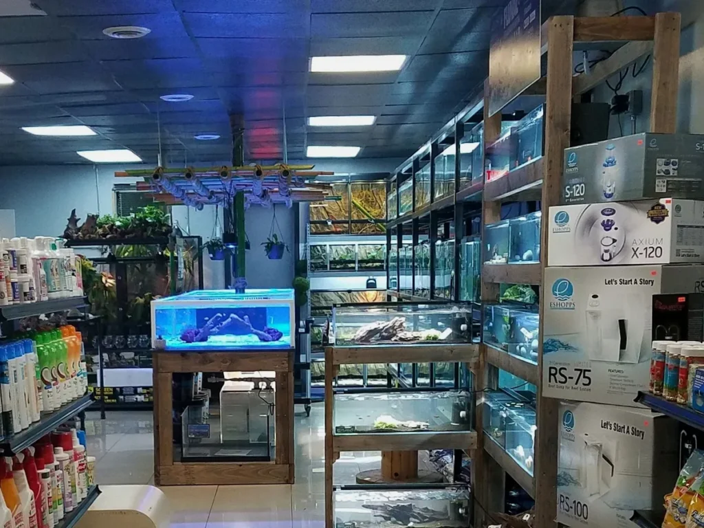 Inside our exotic pet store in Queens: a lit reef display tank, rows of aquariums and reptile enclosures, and supply shelves