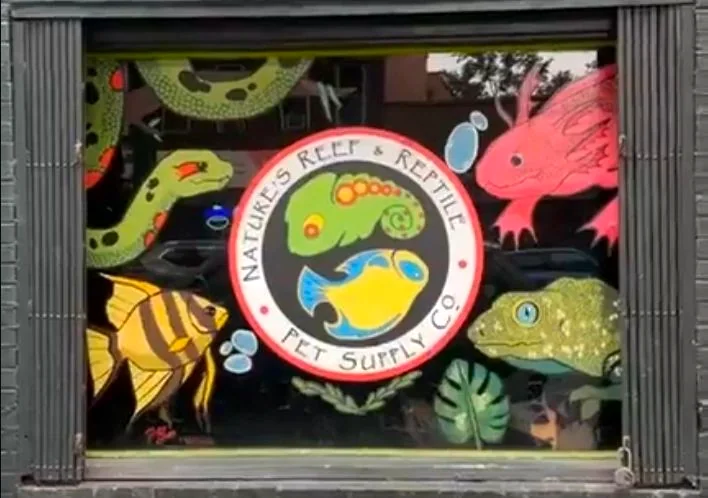 The store’s painted front window: a round Nature’s Reef & Reptile Pet Supply Co. sign surrounded by painted snakes, an angelfish and a gecko
